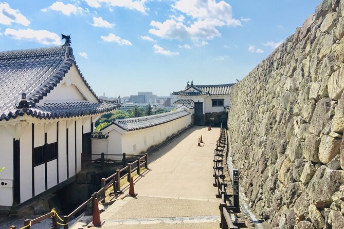 Half-Day Private Guided Tour of Himeji Castle - Is the $155.34 price good value?