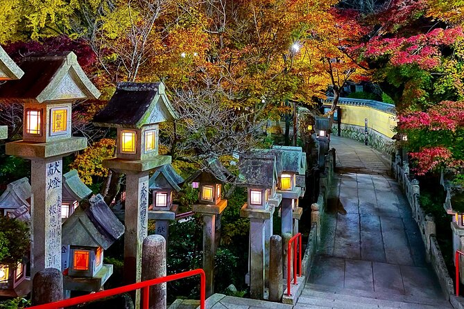 Hidden Gems of Osaka Kyoto Nara - Private Car Tour by Local Guide - What Daiki adds to the day