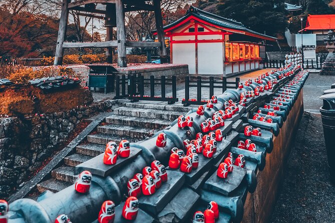 Hidden Gems of Osaka Kyoto Nara - Private Car Tour by Local Guide - Who should book this experience
