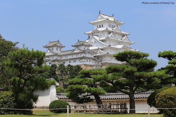 Himeji Castle and Akashi Kaikyo Bridge Walking Tour from Osaka - Key points to know before you book