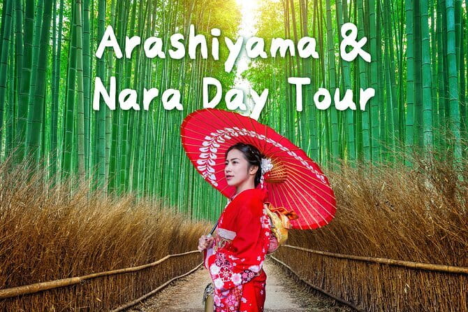 Himeji Castle and Akashi Kaikyo Bridge Walking Tour from Osaka - The Akashi Kaikyo Bridge from Maiko