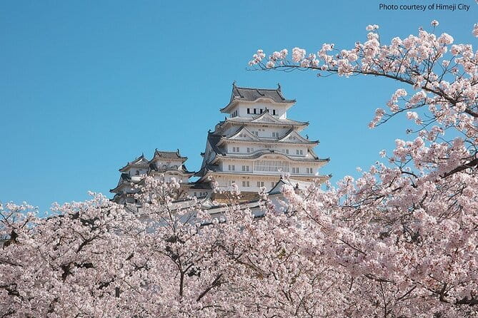 Himeji Castle and Akashi Kaikyo Bridge Walking Tour from Osaka - Practical details that make the day easier