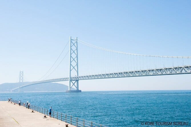 Himeji Castle and Akashi Kaikyo Bridge Walking Tour from Osaka - A buffet lunch at Hotel Nikko Himeji