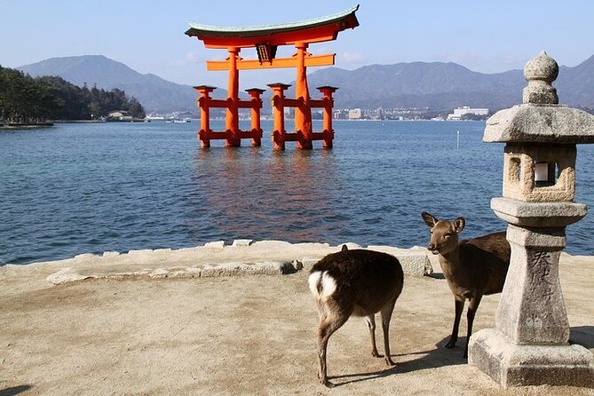 Hiroshima and Miyajima 1 Day Private Tour from Kyoto or Osaka - Itsukushima Shrine in one focused hour