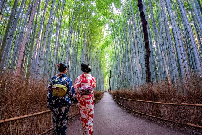 Katsuo-ji Temple, Arashiyama Forest, & Nara Park - Nara Park, deer, and the grand temple option