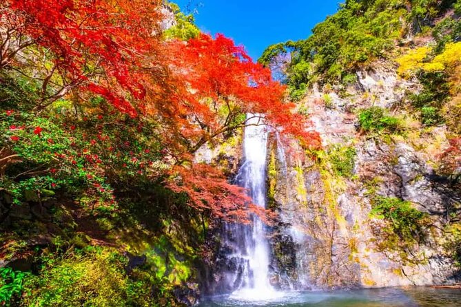 Katsuo-ji Temple, Arashiyama Forest, & Nara Park - A guided tour only in the broadest sense