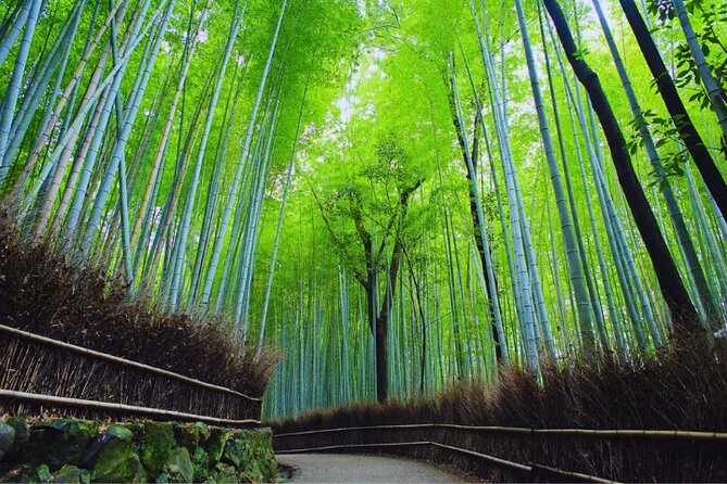 Katsuo-ji Temple, Arashiyama Forest, & Nara Park - The timing: efficient, tiring, and occasionally rushed