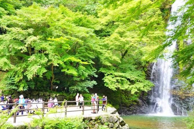 Katsuo-ji Temple, Arashiyama Forest, & Nara Park - Watch the booking options, especially the kimono issue