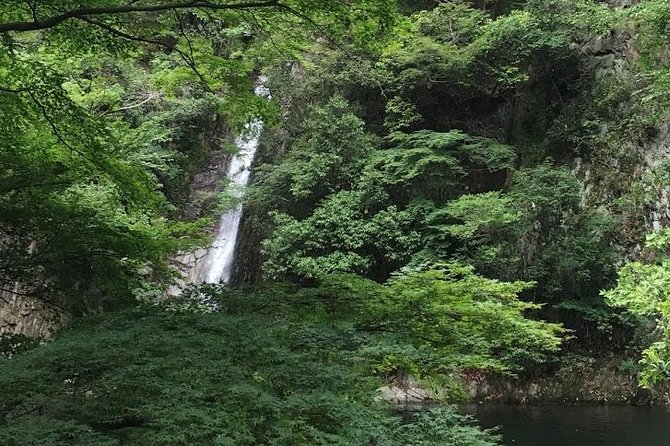 Kobe private tour from Osaka (Shore excursion available from Osaka or Kobe port) - Getting around without a private car