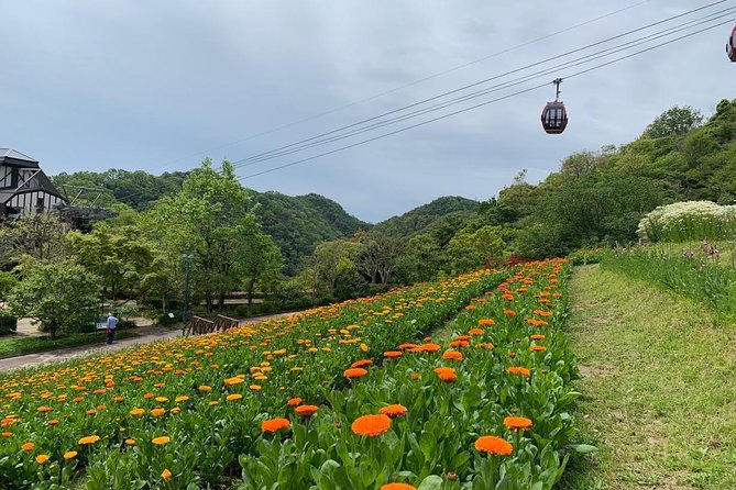 Kobe private tour from Osaka (Shore excursion available from Osaka or Kobe port) - Guide style and language choices