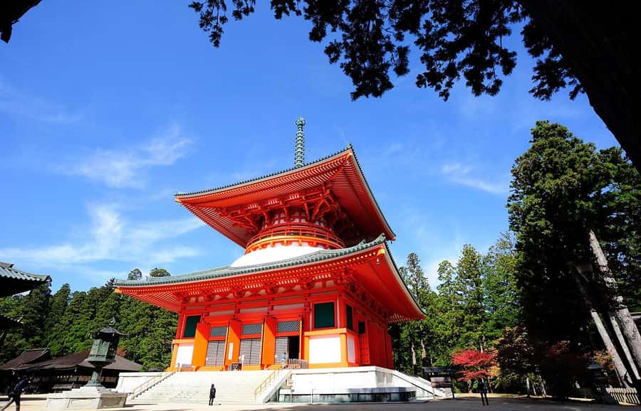 Koyasan: A Mysterious Meditation Journey - Timing, communication, and the small print