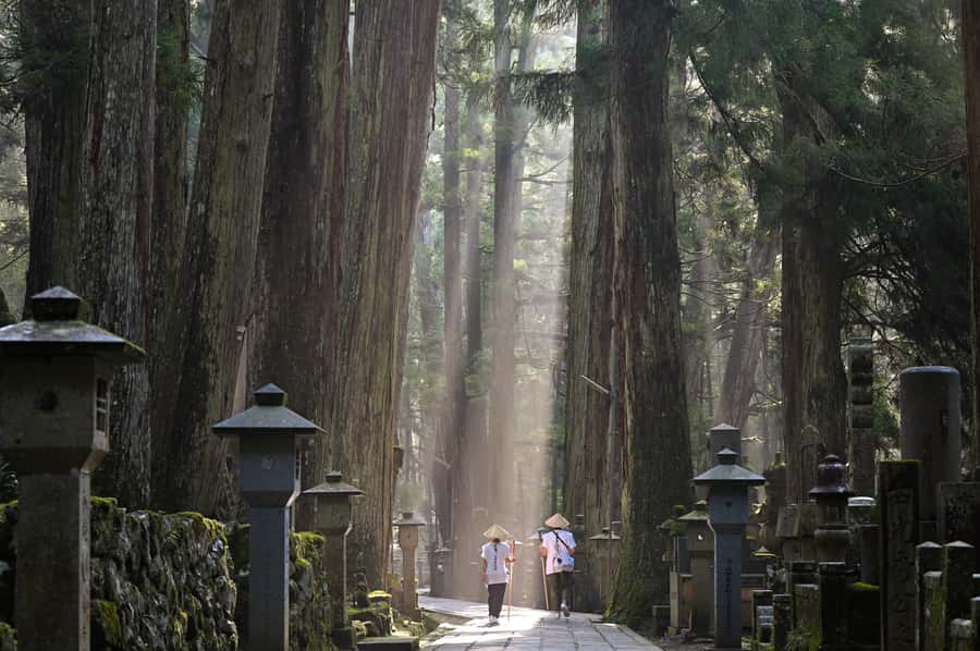 Koyasan: A Mysterious Meditation Journey - Why Koyasan feels different from a normal temple day