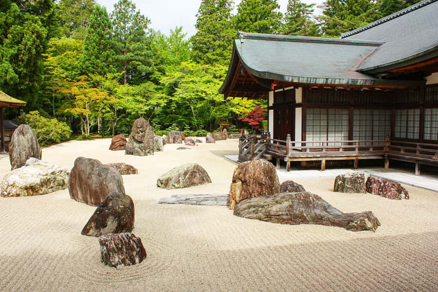 Koyasan: A Mysterious Meditation Journey - Entering through the Daimon Gate