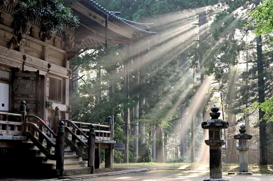 Koyasan: A Mysterious Meditation Journey - Okuno-in and the path of Kobo Daishi