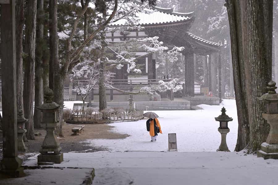 Koyasan: A Mysterious Meditation Journey - What the $539 price really covers