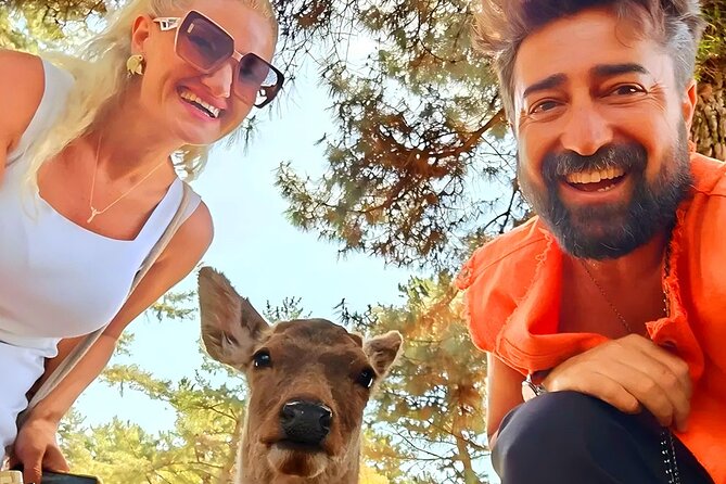 Kyoto and Nara Day Tour From Osaka with Deer Sightings - A deer-filled start in Nara Park