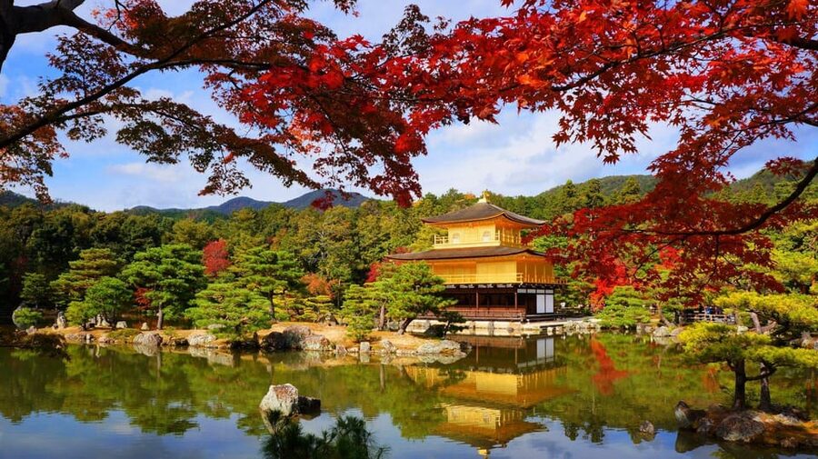 Kyoto and Nara Day Tour From Osaka with Deer Sightings - Should you book it?