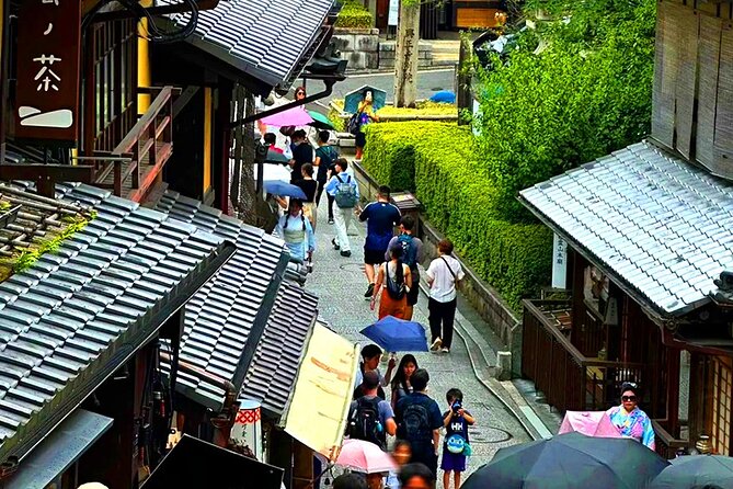 Kyoto and Nara Day Tour From Osaka with Deer Sightings - Who will enjoy this day most