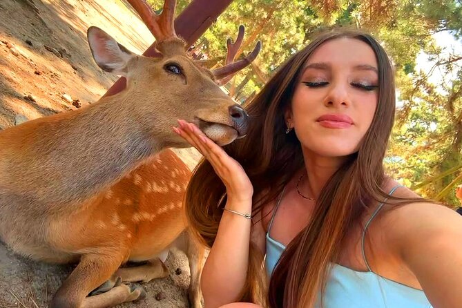 Kyoto and Nara Day Tour From Osaka with Deer Sightings - Nara Park and the bowing deer