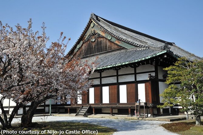 Kyoto and Nara Day Trip from Osaka - Nijo Castle: shogun power in carved wood