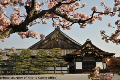 Kyoto and Nara Day Trip from Osaka