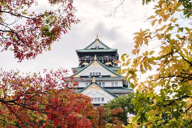Kyoto and Nara UNESCO Highlights Full-day Tour From Osaka - Nara Park and the deer