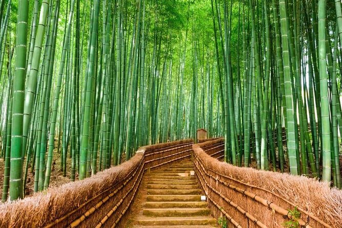 Kyoto Customized Private Car Tour - Key points to know before booking