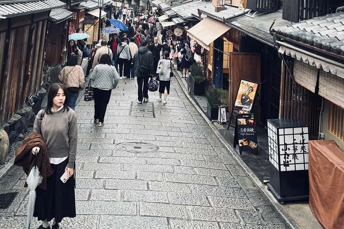 Kyoto Customized Private Car Tour - Ginkaku-ji and the quieter Zen style
