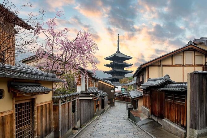 Kyoto Customized Private Car Tour - Fushimi Inari and its thousands of red gates