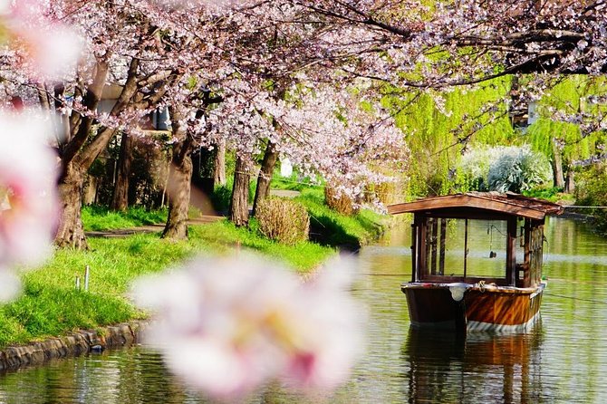 Kyoto Day Trip from Osaka Port – Private Shore Excursion - What the $313.37 price really buys
