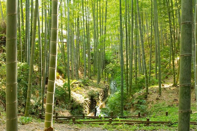 Kyoto Highlights: Arashiyama & Fushimi Inari by Private Car - Walking through the Bamboo Forest Street