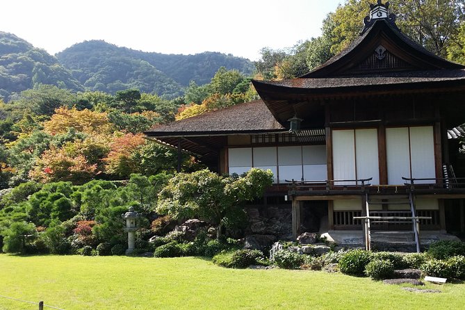 Kyoto Highlights: Arashiyama & Fushimi Inari by Private Car - What the guides add to the day
