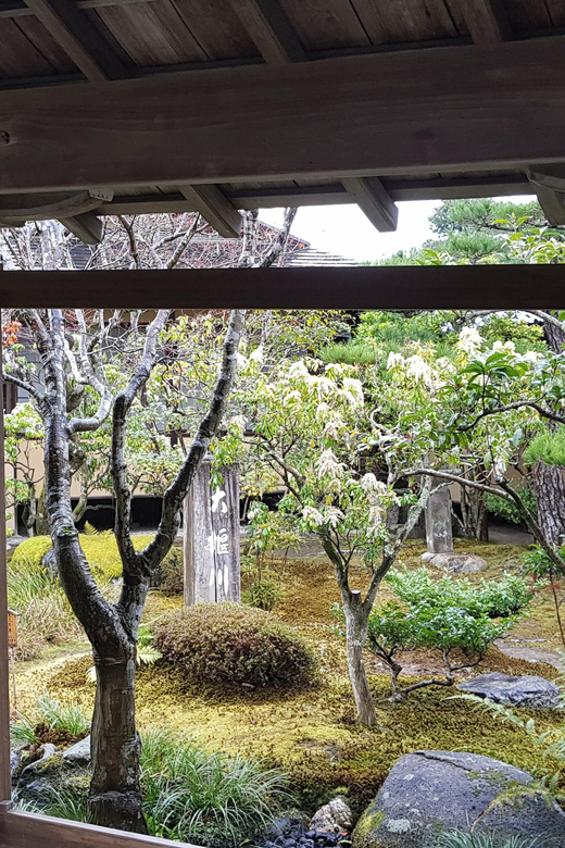 Kyoto: Immersive Arashiyama & Fushimi Inari by Private Car - Is $236 per person good value?