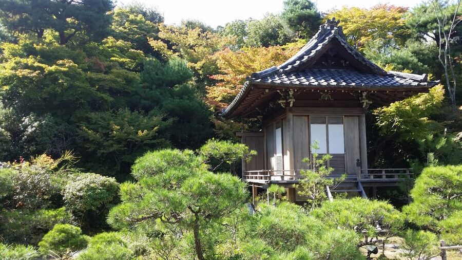 Kyoto: Immersive Arashiyama & Fushimi Inari by Private Car - The bamboo grove and Okochi Sanso Garden