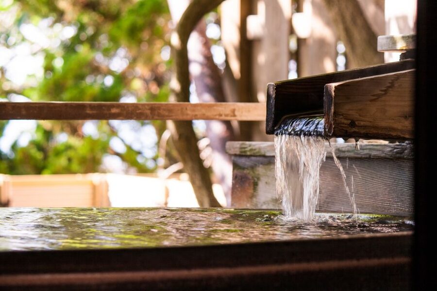 Kyoto: Immersive Arashiyama & Fushimi Inari by Private Car - Ryōan-ji and the meaning of a model itinerary