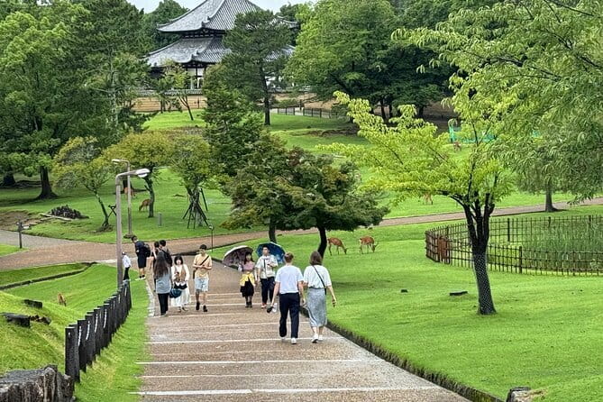 Kyoto & Nara Private customized tour with English speaking Guide - Todai-ji and the Great Buddha