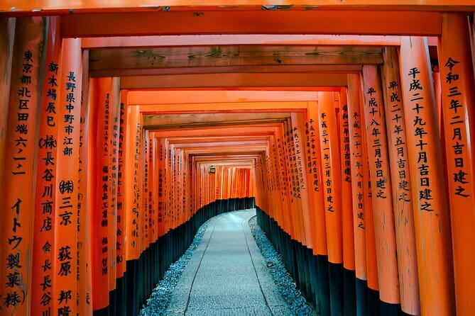 Kyoto & Nara Private Day Tour - Key points to know before booking