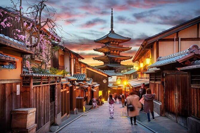Kyoto & Nara Private Day Tour - What the driver service is really like