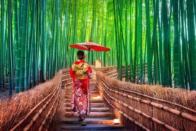 Kyoto & Nara Private Day Tour - Arashiyama’s bamboo and the time-pressure problem