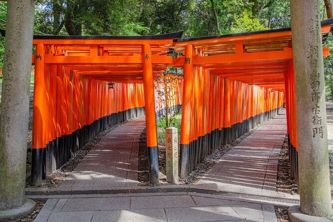 Kyoto & Nara & Uji: Full Day Sightseeing Tour from Osaka or Kyoto - Nara Park and the deer