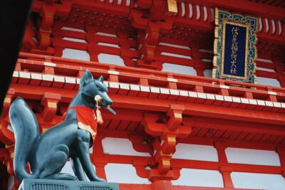 Kyoto & Nara & Uji: Full Day Sightseeing Tour from Osaka or Kyoto