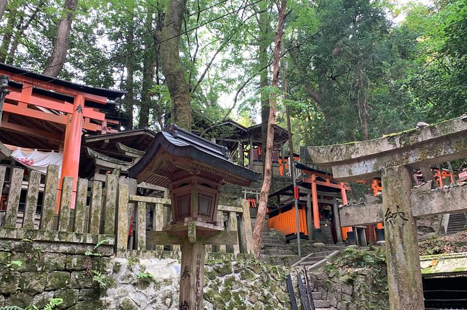 Kyoto private tour (Shore excursion available from Osaka or Kobe port) - Key points to know before booking