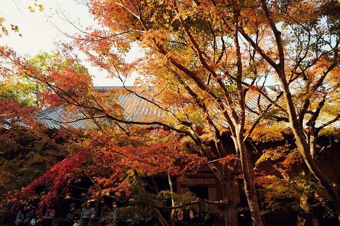 Luxury Classic Kyoto Day Tour - Private Customized Car Tour - Ninenzaka and Sannenzaka show old Kyoto at street level