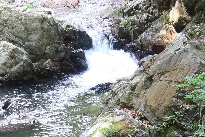 Minoh Waterfall and nature walk through the Minoh Park - Lunch at a local Japanese restaurant