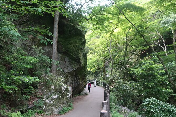 Minoh Waterfall and nature walk through the Minoh Park - What the private guide adds