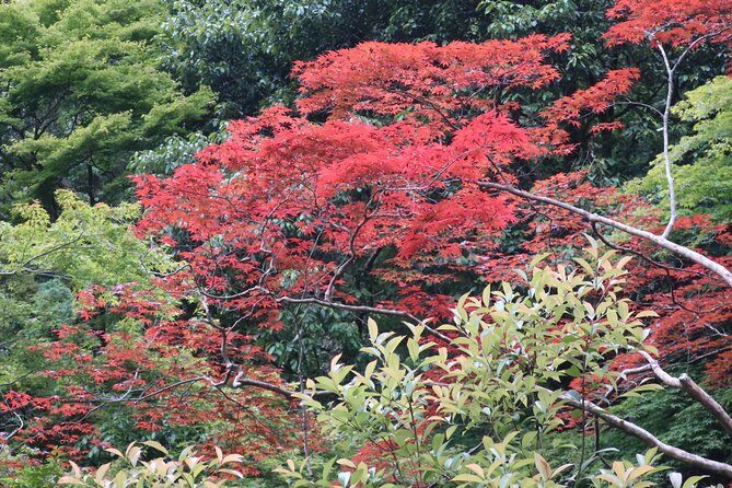 Minoh Waterfall and nature walk through the Minoh Park - The walk from Minoh Station