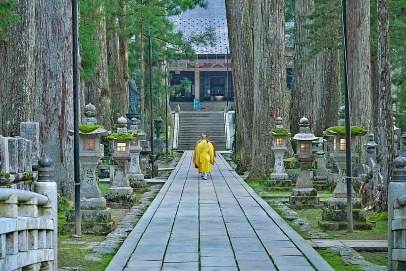 Mount Koya from Osaka: Cultural Small Group Day Tour - Walking through Okunoin Cemetery