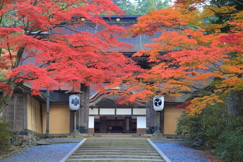 Mount Koya from Osaka: Cultural Small Group Day Tour - Kongobuji and Japan’s largest Zen rock garden
