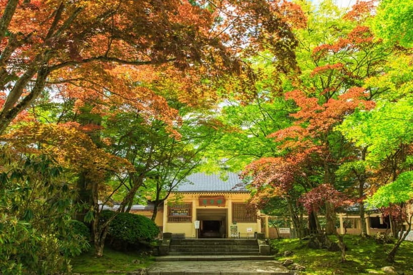 Mount Koya from Osaka: Cultural Small Group Day Tour - Timing, comfort, and who should book