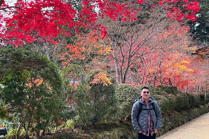 Mt Koya Full Day Tour from Osaka with Licensed Guide and Vehicle - The private vehicle changes the feel of the day